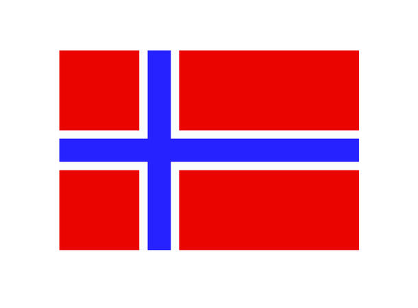 LOGO Norge flagg 18cm Logo flagg  til trykking 